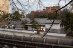 Looking over the wall at the Kokura Castle gardens complex.