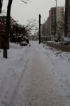 Path leading through Odori Park.