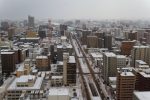 View from the Sapporo Tower