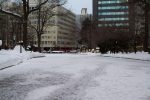 One path covered in ice with snow on top. Damn slippery.