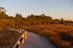 The board walk going out onto the lake