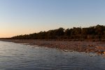 Looking over the thrombolites at Lake Clifton